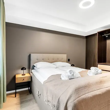 Aurora Dream Escape L Cozy L Stylish *