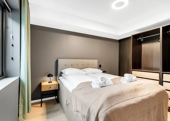 Aurora Dream Escape L Cozy L Stylish *