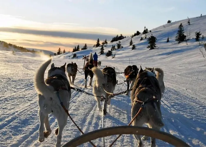 Aurora Dream Escape L Cozy L Stylish Tromsø