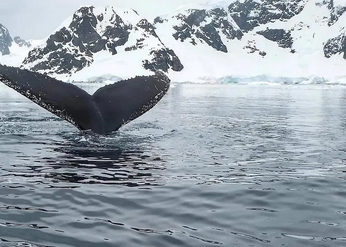 Aurora Dream Escape L Cozy L Stylish Apartamento *